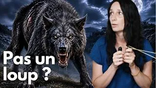 Miniature : La vérité sur LA BÊTE DU GÉVAUDAN ?