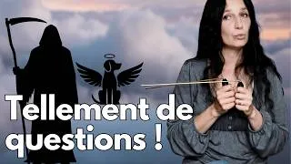 Miniature : La vie après la mort