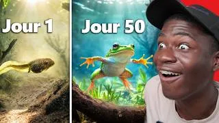 Miniature : VOILÀ COMMENT UN TÊTARD DEVIENT UNE GRENOUILLE 🐸