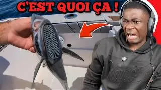 Miniature : LES ANIMAUX LES PLUS ÉTRANGE QUE T’ES JAMAIS VU 😨