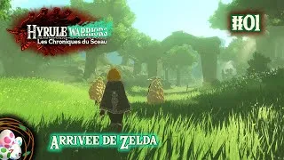 Miniature : L'histoire avant Zelda TotK ! Hyrule Warriors : Les Chroniques du Sceau #1 - Nest Replays 07/11/25