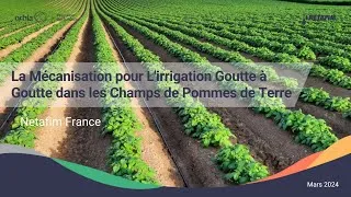 Miniature : Webinaire - La mécanisation pour l'irrigation goutte à goutte dans les champs de pommes de terre.