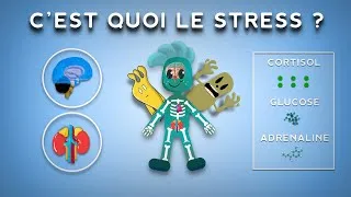 Miniature : Le stress, c'est si mauvais que ça ? Découvrez ses mystérieux mécanismes !