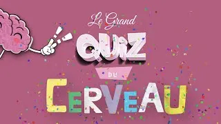 Miniature : Le Grand Quiz Du Cerveau