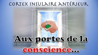 Miniature : Cortex Insulaire : aux portes de la conscience ?
