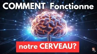 Miniature : Comment fonctionne notre cerveau?