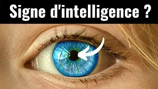 Miniature : Reconnaître une personne intelligente à la taille de ses pupilles ? 👁  (Selon une étude...)