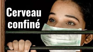 Miniature : Comment le confinement change le cerveau ?😷  Effets de l'isolation sociale et de la resocialisation