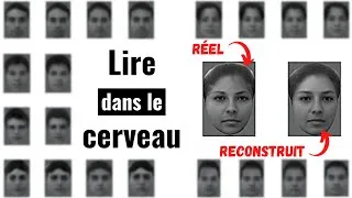Miniature : Comment recréer des visages à partir de l'activité du cerveau👱‍♀️👱‍♂️  (Lire dans les pensées ?...)