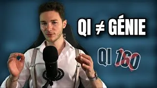 Miniature : Les 4 formes de génie ( sans rapport avec le QI )
