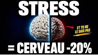 Miniature : Pourquoi le stress chronique rétrécit ton cerveau — et comment l'arrêter