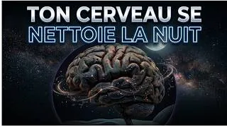 Miniature : Ton cerveau travaille toute la nuit — voici ce qu'il fait vraiment