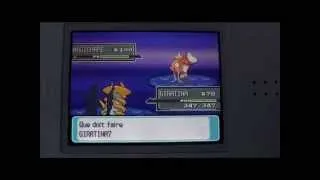 Miniature : Le truc Impossible!! Magicarpe N°100 Sauvage sans AR ni R4! Pokémon Platine!