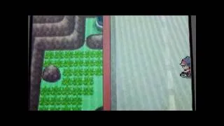 Miniature : La grotte secrète dans pokémon Diamant Perle Platine