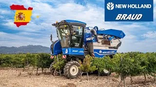 Miniature : Presentaçion Braud 8 50L Espana La Mancha