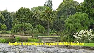 Miniature : VISITE ET DÉCOUVERTE DES JARDINS BOTANIQUES ROYAUX DE MELBOURNE (Australie) ET DE PLANTES ORIGINALES
