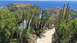 Miniature : VISITE COMPLÈTE & REDÉCOUVERTE DU JARDIN EXOTIQUE DE MONACO ROUVERT AU PUBLIC APRÈS 6 ANS DE TRAVAUX
