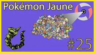 Miniature : #25 Je vais devenir fou au secours (Pokémon Jaune)