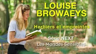 Miniature : Louise Browaeys, Herbiers & Empreintes (Série Les Mondes Sensibles / NEXT)