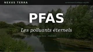 Miniature : PFAS : 100 % des Français contaminés — Ce qu'on ne vous dit pas