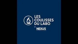 Miniature : La communication biologistes et cliniciens au Maroc