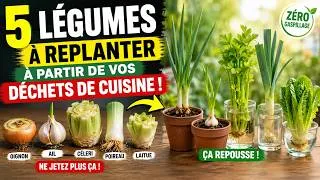 Miniature : Ne Jetez Plus ! Ces 5 Légumes Repoussent Infiniment