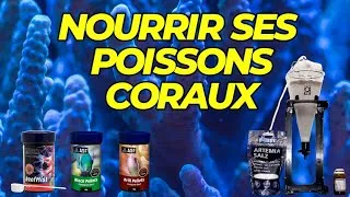Miniature : Faire ses artémias, nourrir ses poissons et coraux, aquarium eau de mer