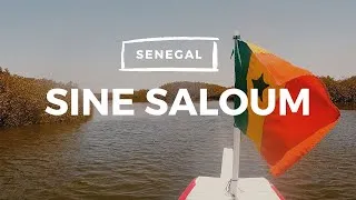 Miniature : A Magical Day by Pirogue in the Mangrove of Sine Saloum 🌿🇸🇳