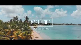 Miniature : Martinique, Plage des Salines