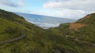 Miniature : Muriwai Estate in New Zealand 4K HD