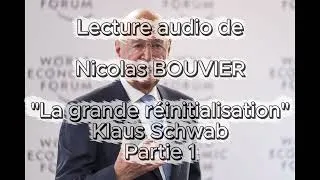 Miniature : La grande réinitialisation - Klaus Schwab, Thierry Malleret, Juillet 2020