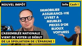 Miniature : Ils ont osé voter « l'impôt sur tout » : immobilier, assurance-vie, or, meubles, voitures, cryptos…