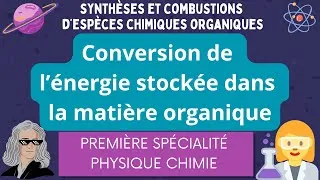 Miniature : Conversion de l’énergie stockée dans la matière organique / Première spécialité Physique Chimie