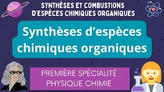 Miniature : Synthèse en chimie organique / Les savons / Première Spécialité Physique Chimie