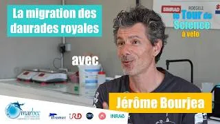 Miniature : SÈTE : Où se reproduisent les daurades en Méditerranée ? avec Jérôme Bourjea - Tour de Science #2
