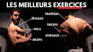 Miniature : Les Meilleurs Exercices Pour CHAQUE Groupe Musculaire, d'après la Science