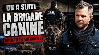 Miniature : J'ai infiltré la brigade canine pendant une opération antidrogue