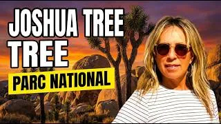 Miniature : Joshua Tree : Les astuces qu'on a testées pour vous