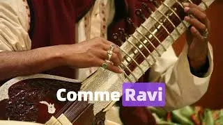 Miniature : Le sitar, instrument indien