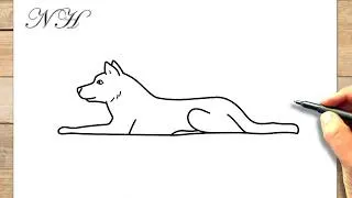 Miniature : Comment dessiner un ‎chien allongé