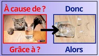 Miniature : Grammaire A2 : Cause & Conséquence