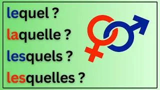 Miniature : Français A2 : Lequel, Laquelle, Lesquels, Lesquelles