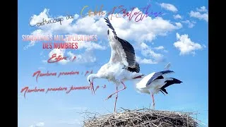 Miniature : Conjecture des nombres premiers jumeaux. L'épreuve de la preuve par le crible d'Eratosthène.