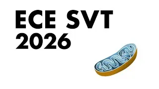 Miniature : CORRECTION ECE SVT BAC 2026 - Effet d’un poison végétal sur la respiration cellulaire 