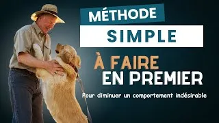 Miniature : Comment diminuer de façon simple et efficace un comportement de ton chien sans le punir