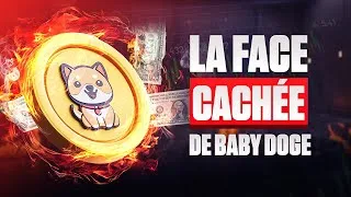 Miniature : Baby Doge Coin : une arnaque déguisée en projet caritatif ?
