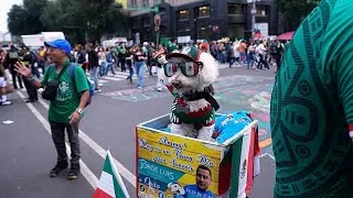 Miniature : Meet Osito, the rescue dog winning hearts at the World Cup