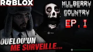 Miniature : JE N’AURAIS JAMAIS DÛ ENTRER DANS CE JEU ROBLOX… 😨 | EP1 Mulberry County