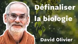 Miniature : Non au langage finaliste - David Olivier