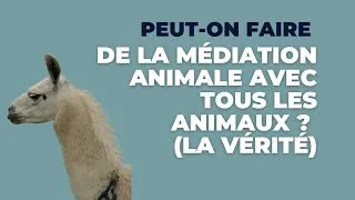 Miniature : Peut-on faire de la médiation animale avec n’importe quel animal ? 🐾✨